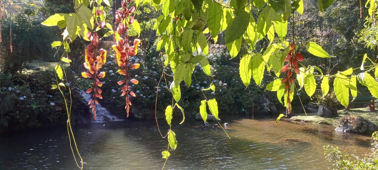 Espirito Das Aguas Chales Lumiar Dış mekan fotoğraf